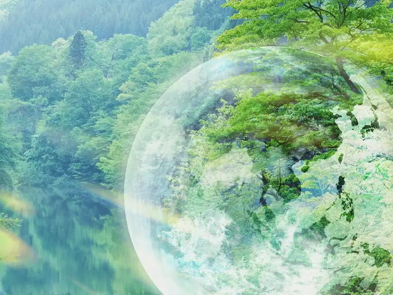 The Earth Song – by Michael Jackson