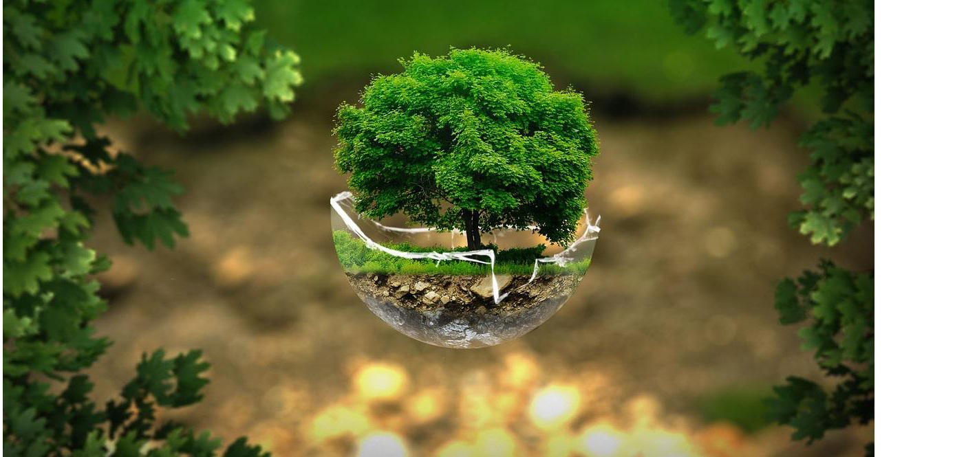 environment-modified-1